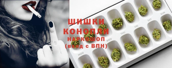 крисы Надым