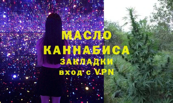 крисы Надым