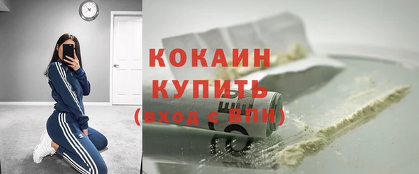крисы Надым