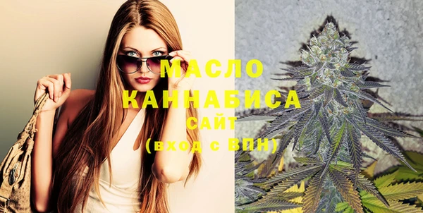 крисы Надым