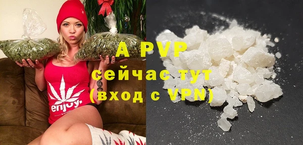 крисы Надым