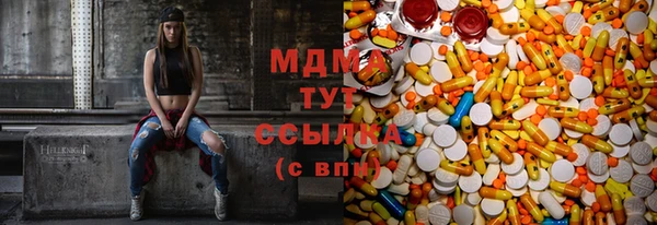 крисы Надым